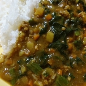 子供が喜ぶ！ほうれん草カレー